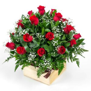 destellos 24 rosas bogota