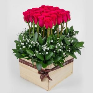 soñador rosas bogota